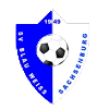 https://img.ytcg360.com/img/football/team/1cde488d47b598d2eed91775e6786258.png