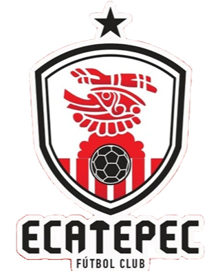 https://img.ytcg360.com/img/football/team/f8fefa1062b7f72982263757680421c0.png